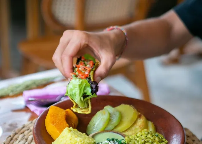 Ayurvedahub 4*