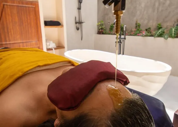 Hotel Ayurvedahub 4*